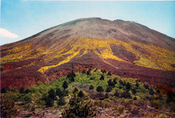 Il Monte Vesuvio