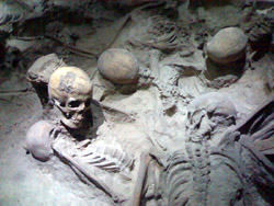 Skeletons found in Herculaneum