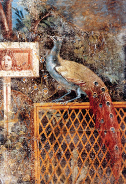 Affresco da Pompei, oggi al Museo Archeologico di Napoli