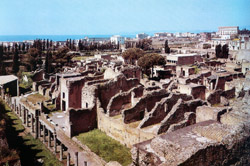 Another prespective of Herculaneum