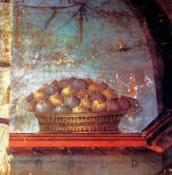 Basket of figs, a fresco at Oplontis