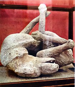 Plaster cast of a dog in Pompeii