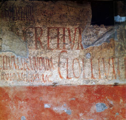 Some of the election inscriptions in Pompeii 