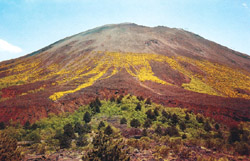 Vesuvius from a distance