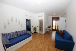 The living room with the sofa-bed