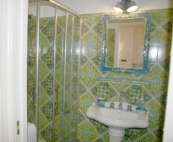 The bathrooom with shower