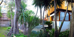 Sorrento Vacation Apartments: Private courtyard with the veranda of Type B dwelling inside Kalimera Apartments in Sorrento