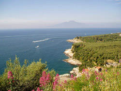 Part of the stunning view from Michela apartment