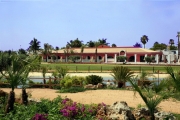 View of the Resort