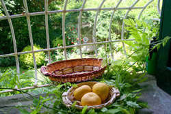 Sorrento Suite: Detail of the window with the garden in the background of Suite Alimuri in Sorrento