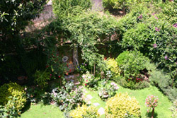 Sorrento Suite: Garden of the Suite Alimuri in Sorrento
