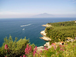 View of the bay of Naples from Sea-view Maria apartment
