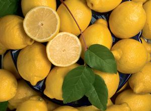 Lemons of Sorrento